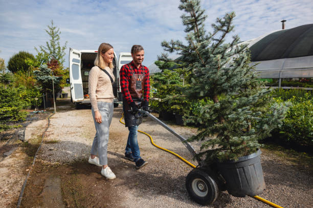 Best Leaf Removal  in Monticello, WI
